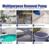 imageGreen Expert 34HP Submersible Sump Pump Max 4000GPH High Flow Adjustable Float Switch Manual Automatic for Easy Water Removal in Pool Hot Tub Basement Floods Backup Drainage System 25FT Power Cord34HP 4000GPH